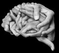 Human brain made with hands